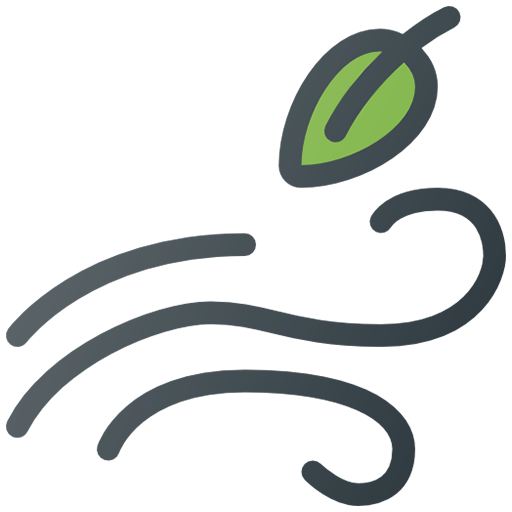 Sleep When the Wind Blows